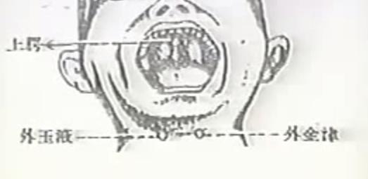 描述: Image 15