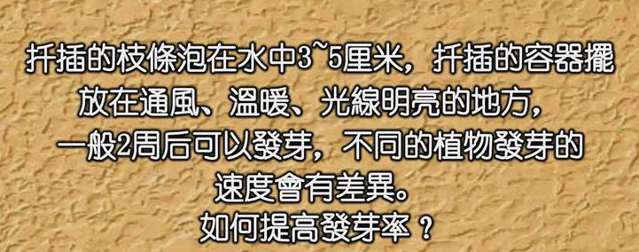 描述: D:\-  User Folders  -\- Sys\Desktop\新增資料夾\15.jpg