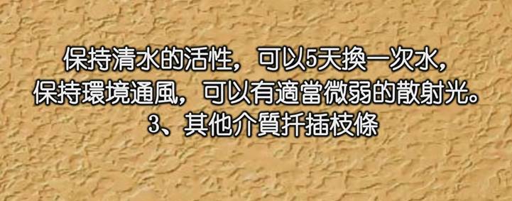 描述: D:\-  User Folders  -\- Sys\Desktop\新增資料夾\16.jpg