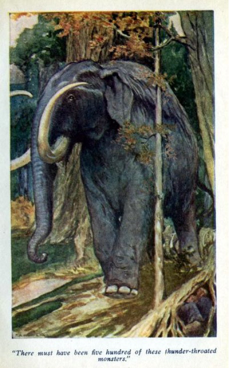 描述: D:\-  User Folders  -\- Sys\Desktop\275812448.jpg