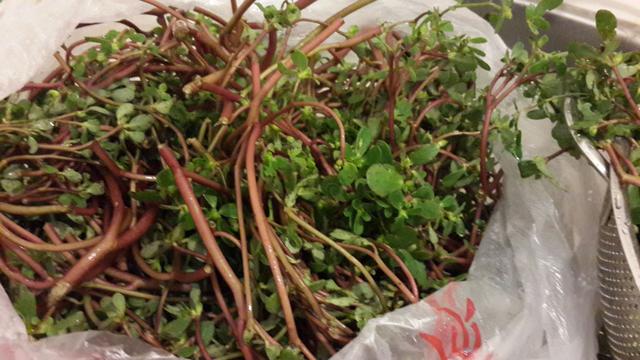 描述: D:\-  User Folders  -\- Sys\Desktop\ddf000696df3d00ee6d.jpg