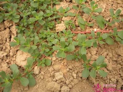 描述: D:\-  User Folders  -\- Sys\Desktop\bcdca0aa72220f80542adec42db5869b.jpg