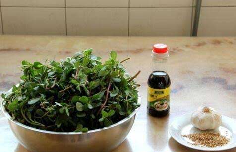 描述: 這種菜厲害了，不僅能防治白頭髮，還能治百病！