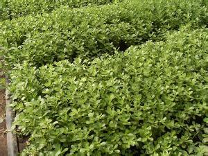 描述: D:\-  User Folders  -\- Sys\Desktop\b5968097de3ec3605fe54b99955355d5.jpg