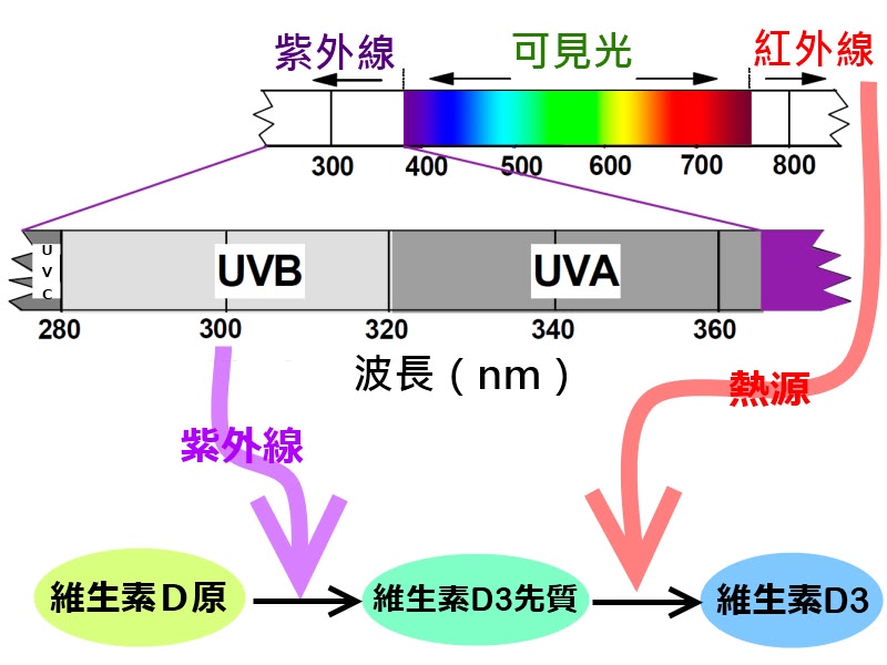 描述: http://g.udn.com.tw/upfiles/B_LI/light03589/PSN_PHOTO/612/f_9284612_1.jpg