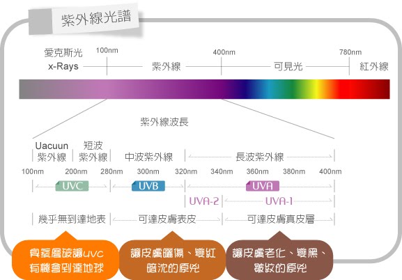 描述: http://g.udn.com.tw/upfiles/B_LI/light03589/PSN_PHOTO/608/f_9284608_1.jpg